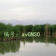 ҵ