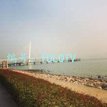 Ը