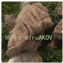 ѡ