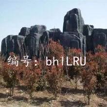 ź