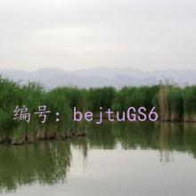 Ӱ